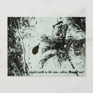 Pluie en Floride Carte postale