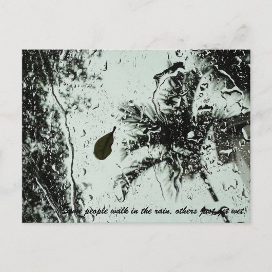 Pluie en Floride Carte postale (Devant)