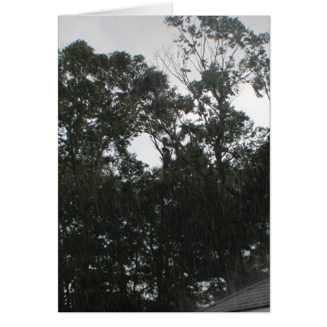 Pluie S'Éloigne (Devant)