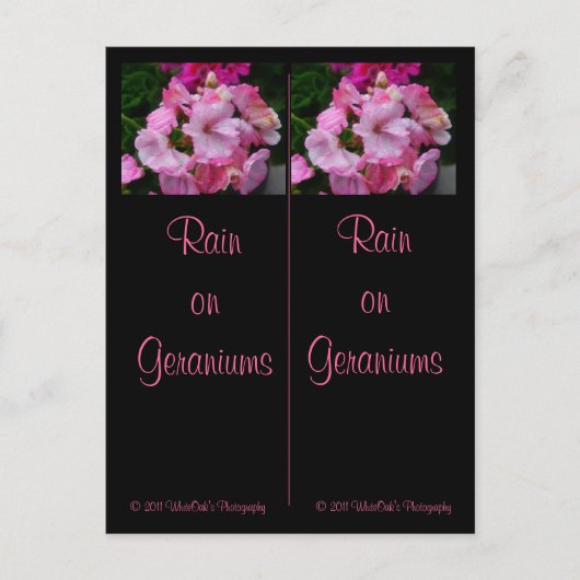 Pluie sur Geraniums Carte postale Signet (Devant)