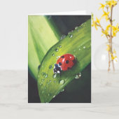 Pluie sur la carte fauchée d'herbe (Fleur jaune)