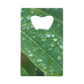 Pluie sur Papaya Leaf (Dos)