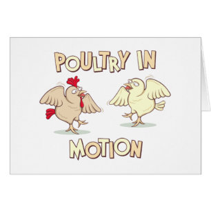 Pluimvee in beweging