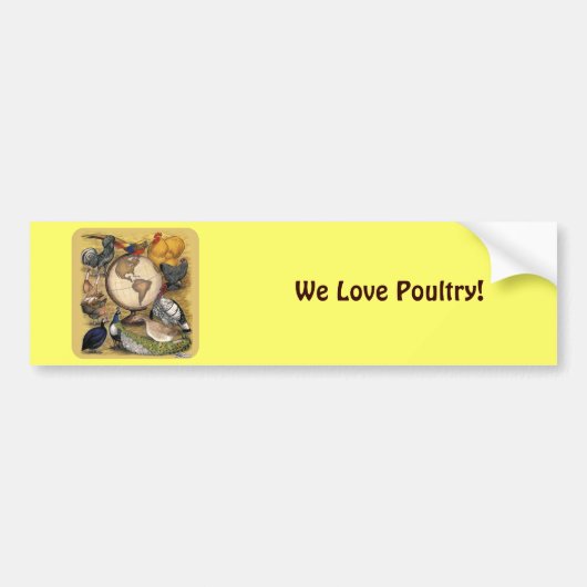 Pluimvee van de wereld bumpersticker (Voorkant)