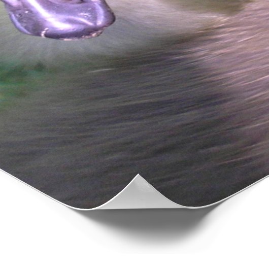 Pluis en Spul Poster (Hoek)