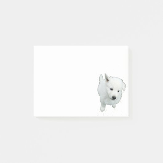 pluizig witte puppy foto post-it® notes (Voorkant)
