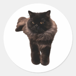 Pluizige Langharige Zwarte Kat Sticker - Mijn Kat.