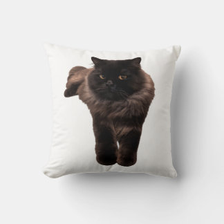 Pluizige Langharige Zwarte Kat Sticker - Mijn Kat. Kussen