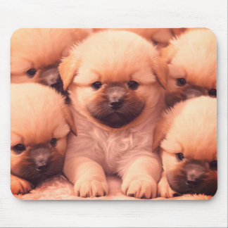 Pluizige nest puppies op laptop desktop tablet muismat