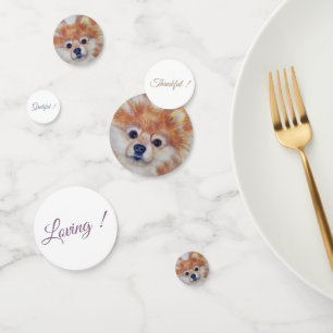 Pluizige Pommerse puppy verjaardag Confetti