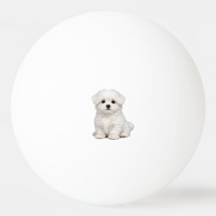 Pluizige Witte Maltezer Puppy Portret Schattige Ho Pingpongballen