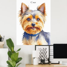 Pluizige Yorkshire Terrier Zachte en Aardige Honde