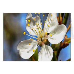 Plum Blossom Art Botanique