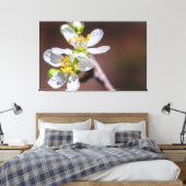 Plum Blossom Canvas Afdruk (Insitu (Slaapkamer))