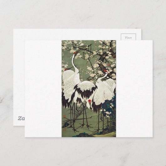 Plum Blossom en Cranes van Ito Jakuchu Briefkaart (Voorkant / Achterkant)