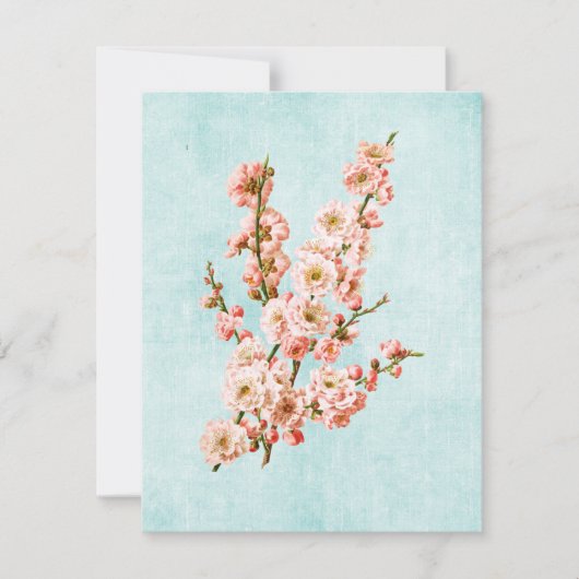 Plum Blossom op Aged Denim (Voorkant)