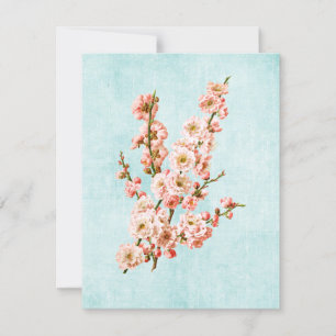 Plum Blossom op Aged Denim