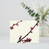 Plum Briefkaart (Staand voorkant)