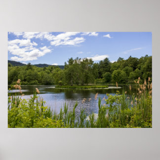 Plum Brook Pond Poster