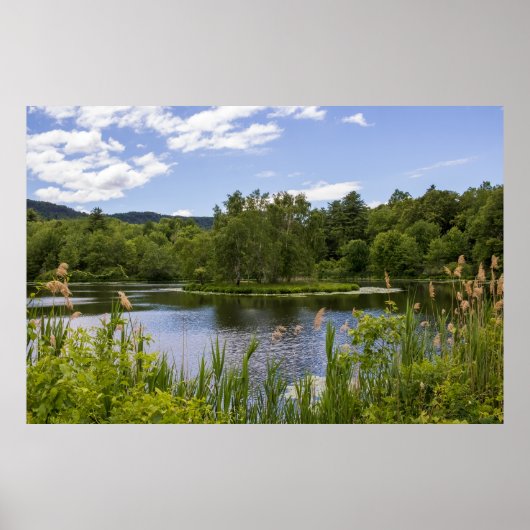 Plum Brook Pond Poster (Voorkant)