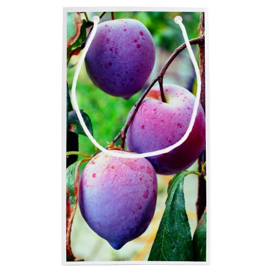 Plum Fruit Gift Bag Klein Cadeauzakje (Achterkant)