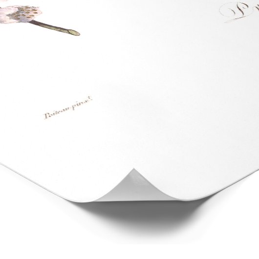 Plum,Prune bifera Poster (Hoek)