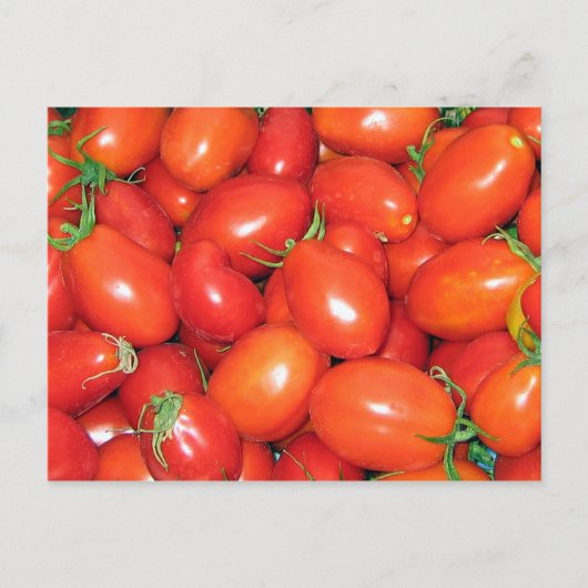 Plum Tomaten Briefkaart (Voorkant)