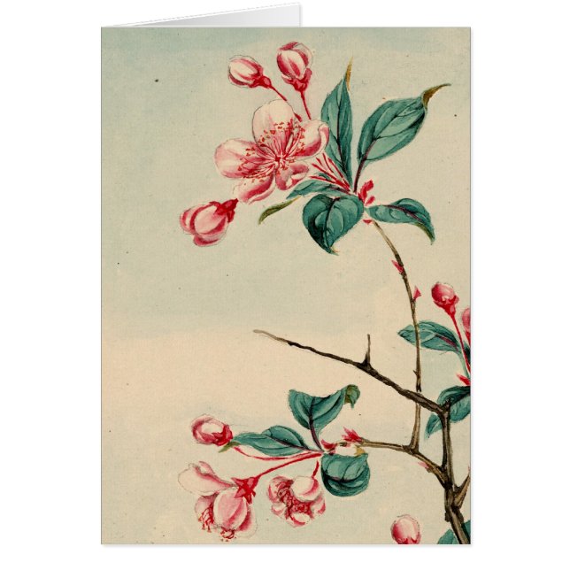 Plum tree blossom (Voorkant)