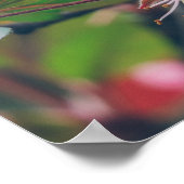 Plum Tree Branch met roze bloemen Poster (Hoek)