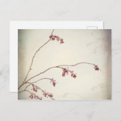 Plum Tree Branch met Spring Buds| Seabeck, WA Briefkaart (Voorkant / Achterkant)