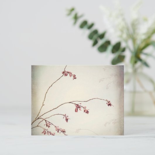 Plum Tree Branch met Spring Buds| Seabeck, WA Briefkaart (Staand voorkant)