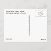 Plumbago - Blue Summer Flowers Afbeelding Briefkaart (Achterkant)