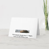 Plume blanche pelucheuse sur la carte de voeux de (Dos)