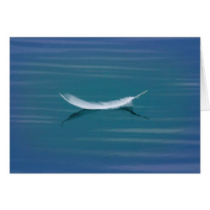 Plume blanche sur l'eau