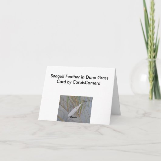 Plume de mouette d'IBSP dans la carte de note (Dos)