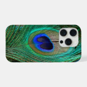 Plume de Paon Bleu Indien (Verso Horizontal)