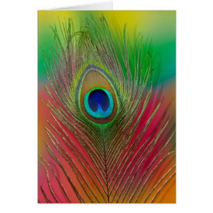 Plume de paon en gros plan