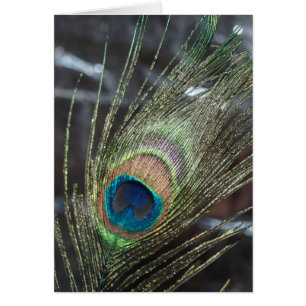 Plume de paon métallique