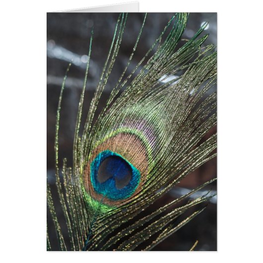 Plume de paon métallique (Devant)