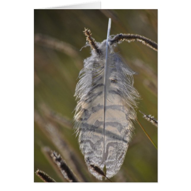 Plume d'Esprit Quotidien (Devant)