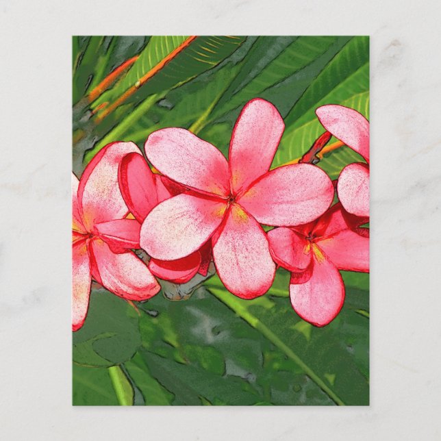 Plumeria (Voorkant)