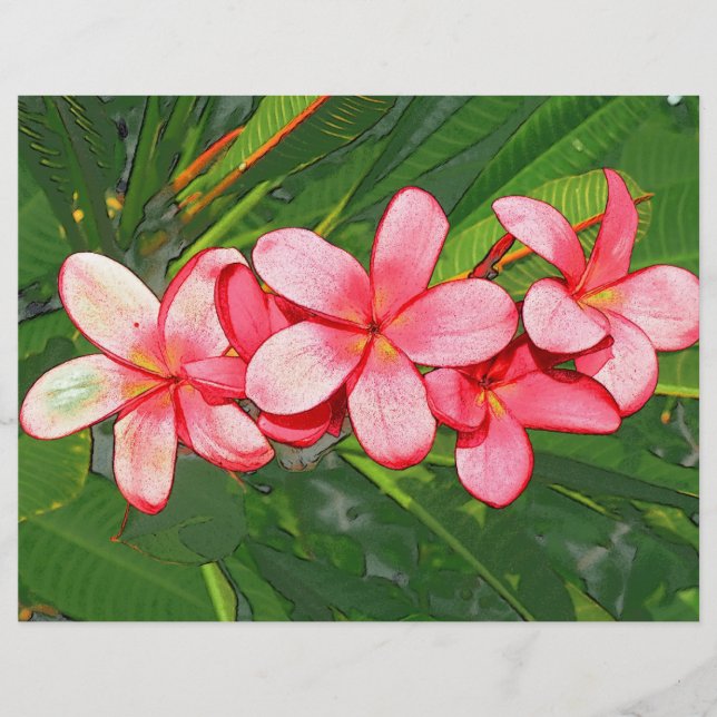 Plumeria (Voorkant)