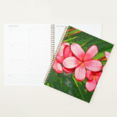 Plumeria (Devant avec enveloppe)