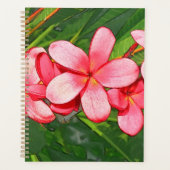 Plumeria (Devant)