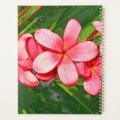 Plumeria (Dos)