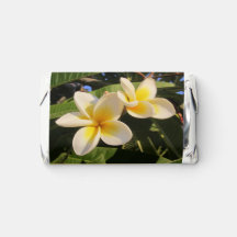 Plumeria