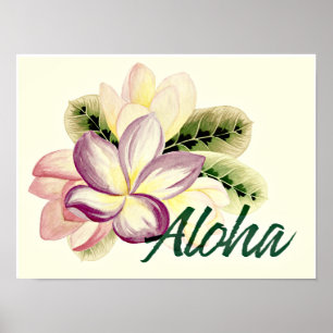  Plumeria Aloha Poster