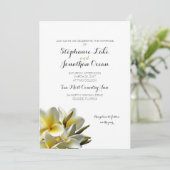 Plumeria blanche Fleurs hawaïennes Faire-part de m (Debout devant)