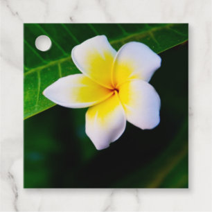 Plumeria Bloem Fotografie Bedankjes Labels