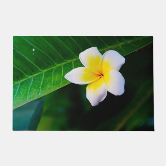 Plumeria Bloem Fotografie Deurmat (Voorkant)